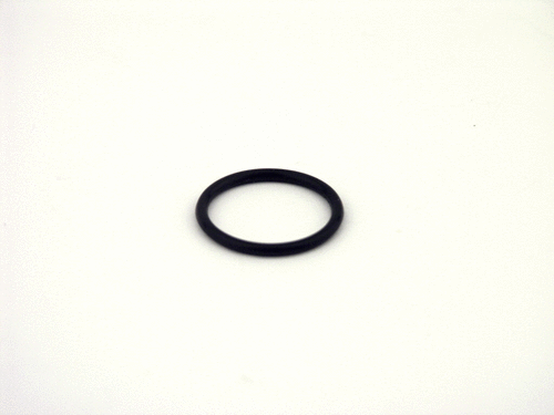 Ring PG16 20x2